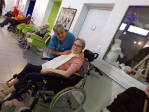 KODAK Digital Still Camera