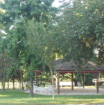 Espaces verts - vue 2
